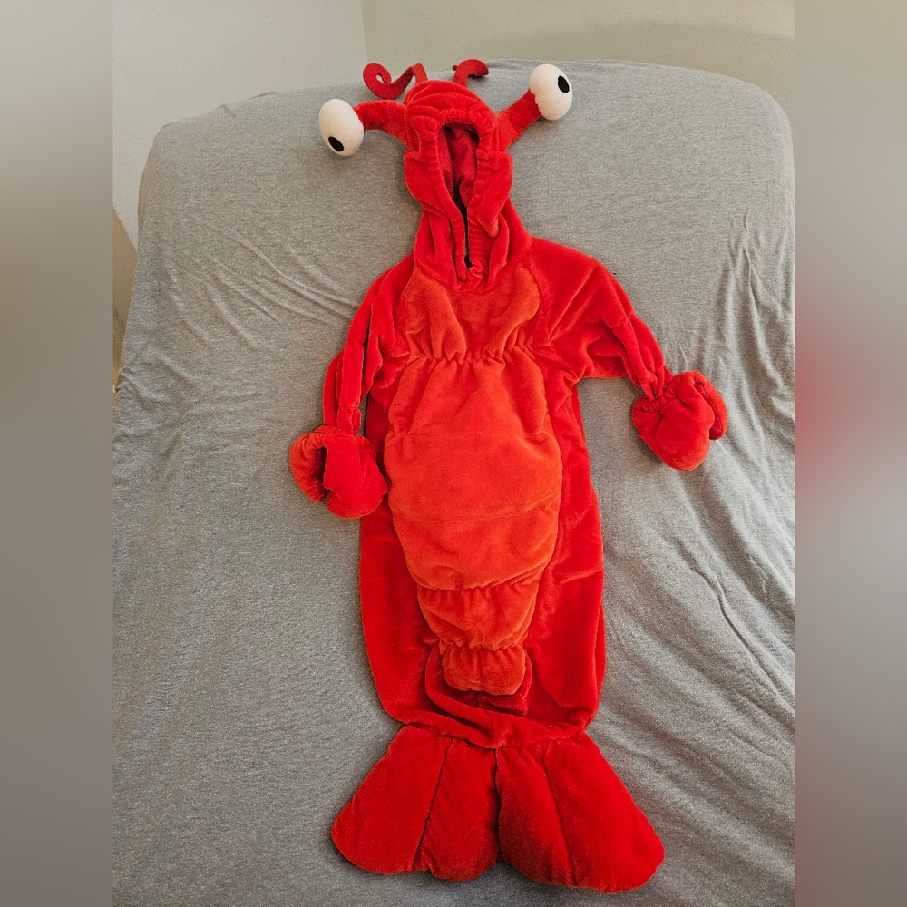 Baby lobster costume